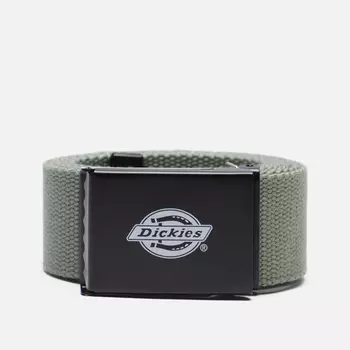 Ремень Dickies Orcutt, цвет зелёный