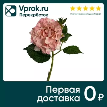 Гортензия розовая 35см - Vprok.ru Перекрёсток