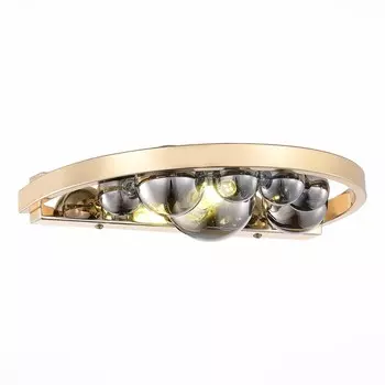 Настенное бра ST Luce Olmi SL1510.201.01