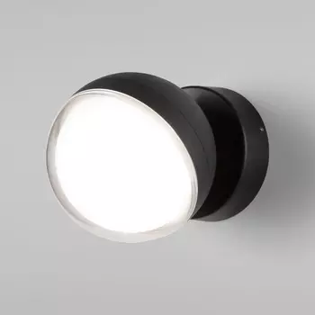 Уличный настенный светильник Elektrostandard Globo a060760