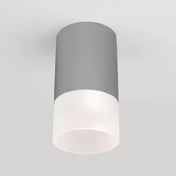 Уличный потолочный светильник Light LED 2106 IP54 a057158