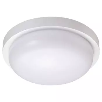 Уличный потолочный светильник Opal 358016