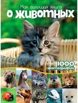 Книга ИГ Азбука-Аттикус