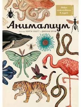 Книга АЗБУКА АТТИКУС