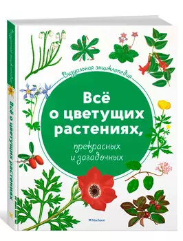 Книга АЗБУКА АТТИКУС