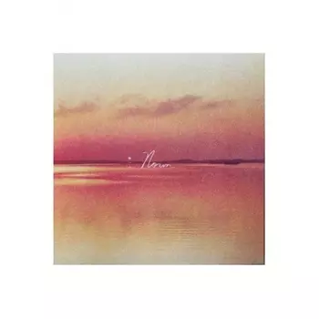Andy Shauf - Norm (coloured) (8714092781632) виниловая пластинка