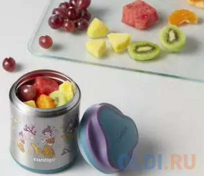 Термос Contigo Foodjar 0,30л серебристый рисунок