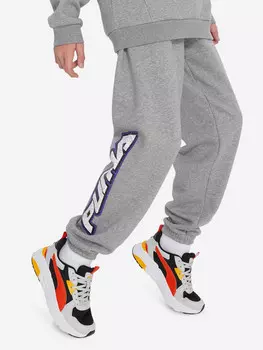 Брюки для мальчиков PUMA Basketball Hoopstellations, Серый