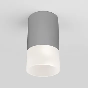Потолочный светильник уличный IP54 светодиодный 35139/H Elektrostandard Light LED серый