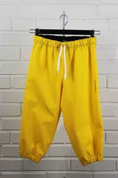 Штаны детские Didriksons MIDJEMAN KIDS PANTS, золотисто-желтый, 503107