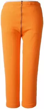 Штаны детские Didriksons MONTE KIDS MICROFLEECE PANTS, морковный, 502010