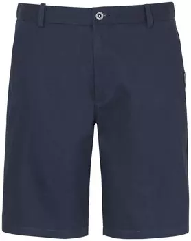 Шорты мужские Didriksons HAKON MEN'S SHORTS, морской бриз, 503087