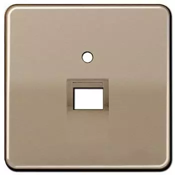 CD569-1UAGB CD 500/CD plus Бронза Накладка 1-ой наклонной ТЛФ/комп розетки Jung