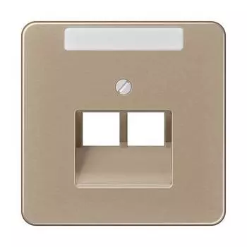 CD569-2NAUAGB CD 500/CD plus Бронза Накладка 2-ой наклонной ТЛФ/комп розетки с полем для надписи Jung