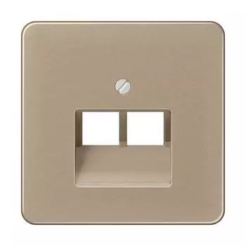CD569-2UAGB CD 500/CD plus Бронза Накладка 2-ой наклонной ТЛФ/комп розетки Jung