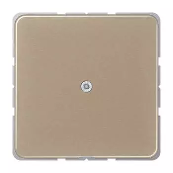 CD590AGB CD 500/CD plus Бронза Вывод кабеля Jung