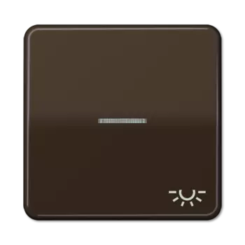 CD590KO5LBR CD 500/CD plus Коричневый Клавиша 1-я с/п с символом "ОСВЕЩЕНИЕ" Jung
