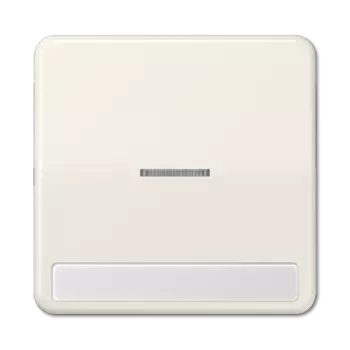 CD590NAKO5 CD 500/CD plus Бежевый Клавиша 1-я с/п с полем для надписи Jung