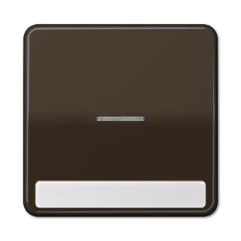 CD590NAKO5BR CD 500/CD plus Коричневый Клавиша 1-я с/п с полем для надписи Jung