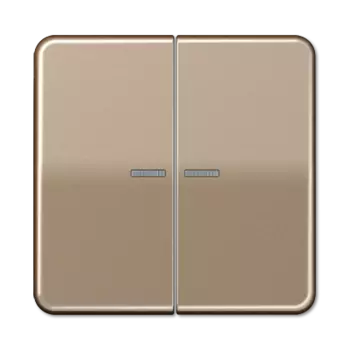CD595KO5GB CD 500/CD plus Бронза Клавиша 2-я с/п Jung