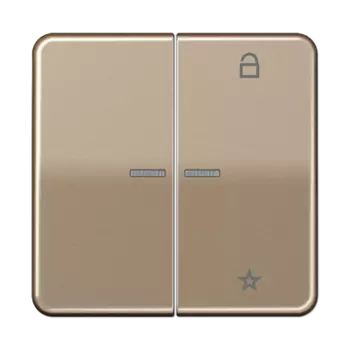 CD1701GB CD 500/CD plus Центральная плата универсальная бронза Jung