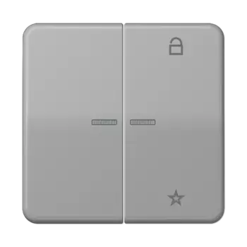 CD1701GR CD 500/CD plus Центральная плата универсальная серый Jung