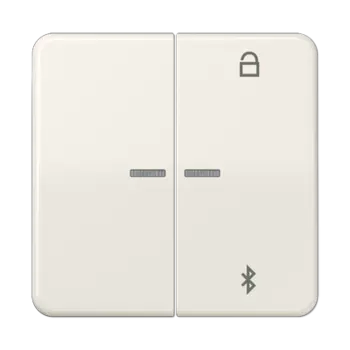 CD1751BT CD 500/CD plus Таймер универсальный Bluetooth слоновая кость Jung