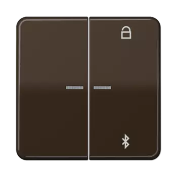 CD1751BTBR CD 500/CD plus Таймер универсальный Bluetooth коричневый Jung