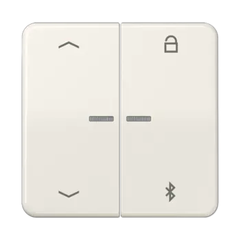 CD1751PBT CD 500/CD plus Таймер универсальный Bluetooth «стрелки» слоновая кость Jung