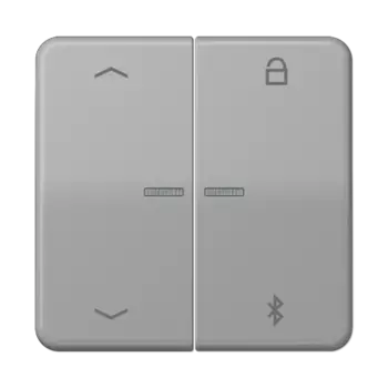 CD1751PBTGR CD 500/CD plus Таймер универсальный Bluetooth «стрелки» серый Jung