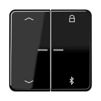 CD1751PBTSW CD 500/CD plus Таймер универсальный Bluetooth «стрелки» черный Jung