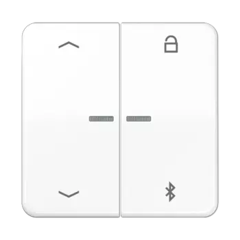 CD1751PBTWW CD 500/CD plus Таймер универсальный Bluetooth «стрелки» белый Jung
