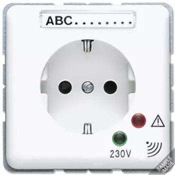 CD521KINAUFLG SCHUKO-розетка 16А 250V~ с защитой от перенапряжения светло-серая Jung