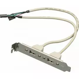 Адаптер ASIA ASIA BRACKET USB 2.0 2 PORT USB Bracket 2xUSB2.0 Bulk