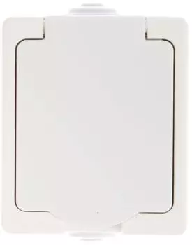 Розетка UNIVersal 5563286 Аллегро, 16А с защ. крышкой защ. шторки с заземл. IP54 белая