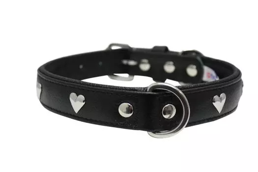 ANGEL Ошейник для собак "Rotterdam Hearts", черный, 56х2.5см