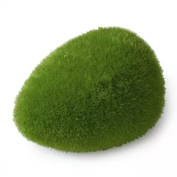 AQUA DELLA Декоративный мох для аквариума "Moos Ball", 11.5x9x6см (Бельгия)