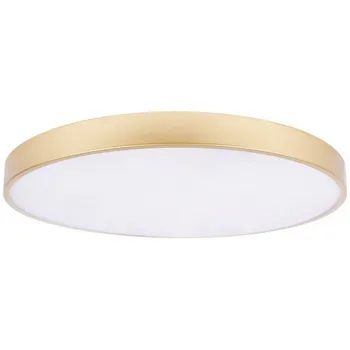 Потолочный светильник круглый LED Loft It Flims 10228/B