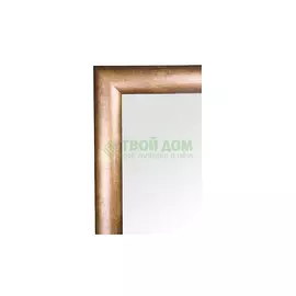 Зеркало с фацетом в багетной раме Evoform состаренная бронза 66 мм 62х92 см