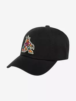 Бейсболка AMERICAN NEEDLE 40742B-PCO Phoenix Coyotes Blue Line (черный), Черный