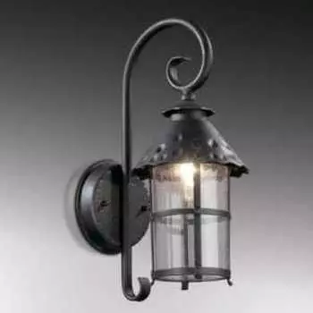 Уличный настенный светильник Odeon Light 2312/1W