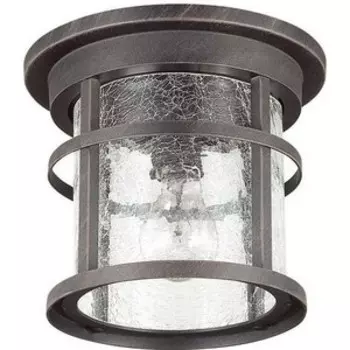 Уличный потолочный светильник Odeon Light 4044/1C