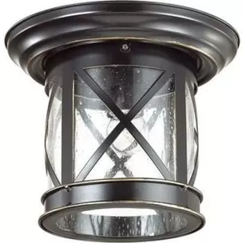Уличный потолочный светильник Odeon Light 4045/1C