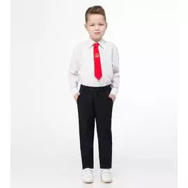 Брюки 205460