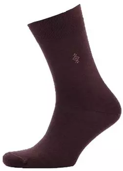 Носки мужские Alex Textile M-5905 коричневые р39-40