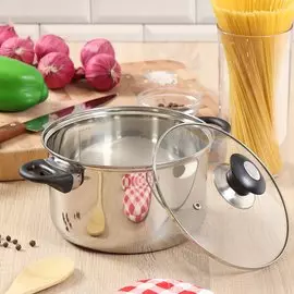 Кастрюля нержавеющая сталь, 3.6 л, с крышкой, крышка стекло, Daniks, DNN4, GS-01110-20CA-1, индукция