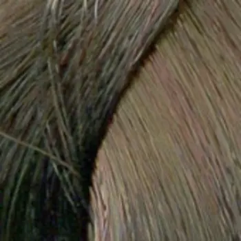 Londa Color - Стойкая крем-краска (81644446, 6/0, тёмный блонд, 60 мл, Base Collection)