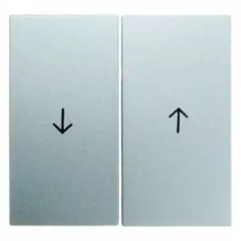 16251404 Клавиши с оттиском Стрелка цвет: алюминий, матовый B.1/B.7 Glas Berker