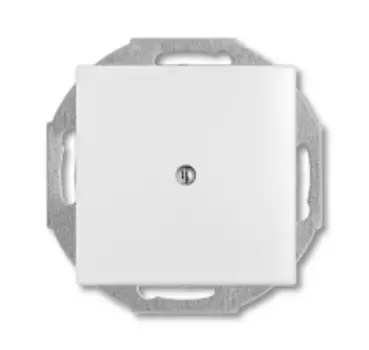 1715-0-0312 (2538-94-507), Заглушка с суппортом, серия Basic 55, альпийский белый, ABB