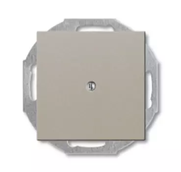 1715-0-0314 (2538-93-507), Заглушка с суппортом, серия Basic 55, цвет шампань, ABB